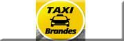 Taxi-Brandes UG (haftungsbeschränkt)<br>  Harsewinkel