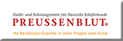 Hundezucht-, Pension und Ausbildung Preußenblut vom Osnabrücker Land<br>  Osnabrück