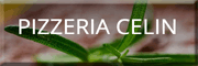 Pizzeria Celin<br>  