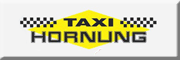 Taxi Hornung Hanau GmbH Bruchköbel