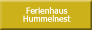 Ferienhaus Hummel-Nest Laußnitz