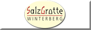 Salzgrotte Winterberg Winterberg