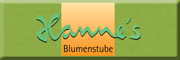 Hannes Blumenstube Wermelskirchen Hannes Blumenstube Wermelskirchen