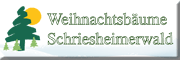 Weihnachtsbäume Schriesheimerwald Wilhelmsfeld Weihnachtsbäume Schriesheimerwald Wilhelmsfeld