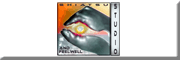 Shiatsu & Feelwell Studio Shiatsu & Feelwell Studio
