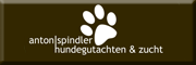 Anton Spindler Hundegutachten & Zucht 