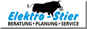 Elektro-Stier Lichtentanne Elektro-Stier Lichtentanne