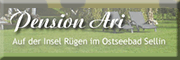 Pension ARI<br>  Sellin Pension ARI<br>  Sellin
