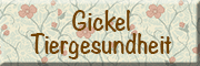 Gickel Tiergesundheit Bassum Gickel Tiergesundheit Bassum
