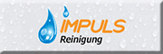 IMPULS Reinigung 