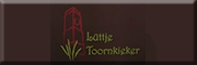 Lüttje Toornkieker Borkum Lüttje Toornkieker Borkum