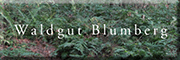 Waldgut Blumberg<br> Casekow Waldgut Blumberg<br> Casekow