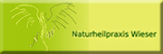 Naturheilpraxis Wieser Gehrweiler