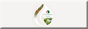 Simone Baldhoff - Heilpraktikerin<br> Dietzenbach Simone Baldhoff - Heilpraktikerin<br> Dietzenbach