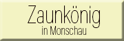 Zaunkönig Monschau