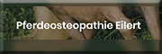 Pferdeosteopathie Eilert Altenmedingen Pferdeosteopathie Eilert Altenmedingen