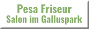 Pesa Friseur Salon im Galluspark Göttingen