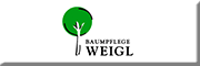 Baumpflege Weigl<br> Trostberg Baumpflege Weigl<br> Trostberg