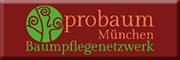 probaum-München Baumpflegenetzwerk 
