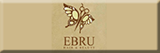 Ebru Hair & Beauty<br>  Zwingenberg