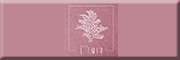 Bistro L'Emir<br> Bistro L'Emir<br>
