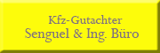 Kfz-Gutachter Senguel & Ing.Büro<br>  