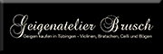Geigenatelier Brusch<br> Tübingen Geigenatelier Brusch<br> Tübingen