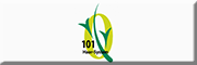 101 Haar-System 