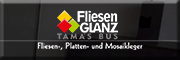 Fliesenglanz Tamás Bus Kollow Fliesenglanz Tamás Bus Kollow
