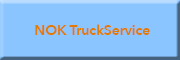 NOK TruckService<br>Vicol Nicusor 