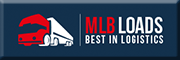 MLB Loads<br>Laima Bakadan 