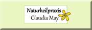 Naturheilpraxis Claudia May Potsdam