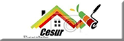 Cesur sanierung<br>  