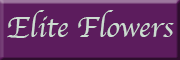 Elite Flowers<br>Ismet Yatmaz Durmersheim Elite Flowers<br>Ismet Yatmaz Durmersheim