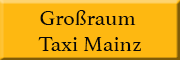 Großraum Taxi Mainz<br>Refik Uludag Mainz
