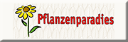 Baumschule Pflanzenparadies Inh. Moritz Kießling Weinheim Baumschule Pflanzenparadies Inh. Moritz Kießling Weinheim