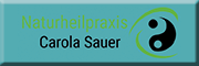 Naturheilpraxis Carola Sauer 