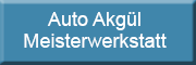 auto akgül Meisterwerkstatt<br>  Kandel