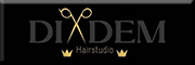 Hairstudio Diadem<br>  