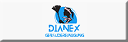 DIANEX Gebäudereinigung<br>  