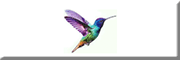 Kolibri AD(H)S-Coaching für Erwachsene Bad Bramstedt Kolibri AD(H)S-Coaching für Erwachsene Bad Bramstedt