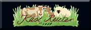 Käse Reuter<br>Birgit Haupt Käse Reuter<br>Birgit Haupt