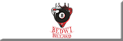 BEDWI BILLARD 