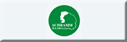 SCHRAMM HAARformer 