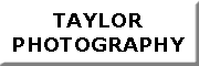 TAYLOR Photography TAYLOR Photography
