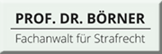 Prof. Dr. René Börner Rechtsanwalt Fachanwalt für Strafrecht<br>  Potsdam