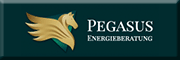 PEGASUS Immobilien- und Energieberatungs GmbH<br>  Ammersbek
