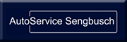 AutoService Sengbusch 