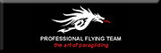 PROFESSIONAL FLYING TEAM GmbH<br>Michael Nesler 
