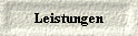  Leistungen 